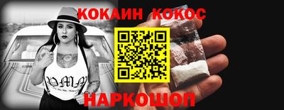 гашик Новокубанск