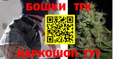 гашик Новокубанск