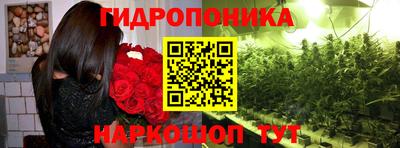mdma Новодвинск