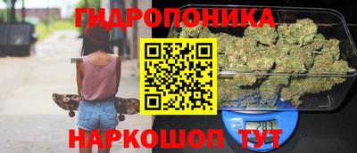 mdma Новодвинск