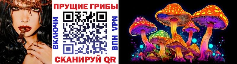 Псилоцибиновые грибы Psilocybe Североморск