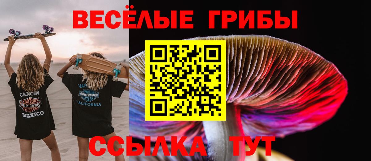 Псилоцибиновые грибы прущие грибы Североморск