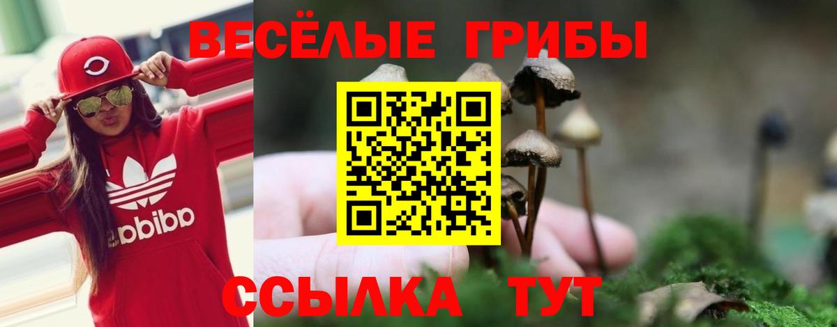 Псилоцибиновые грибы MAGIC MUSHROOMS  Вход с VPN  купить наркотики цена  Псилоцибиновые грибы мицелий  Североморск 