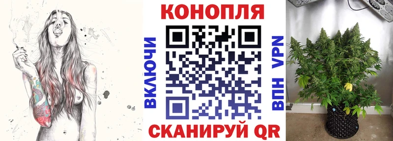 где купить наркоту Североморск Конопля индика